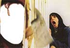 The Shining